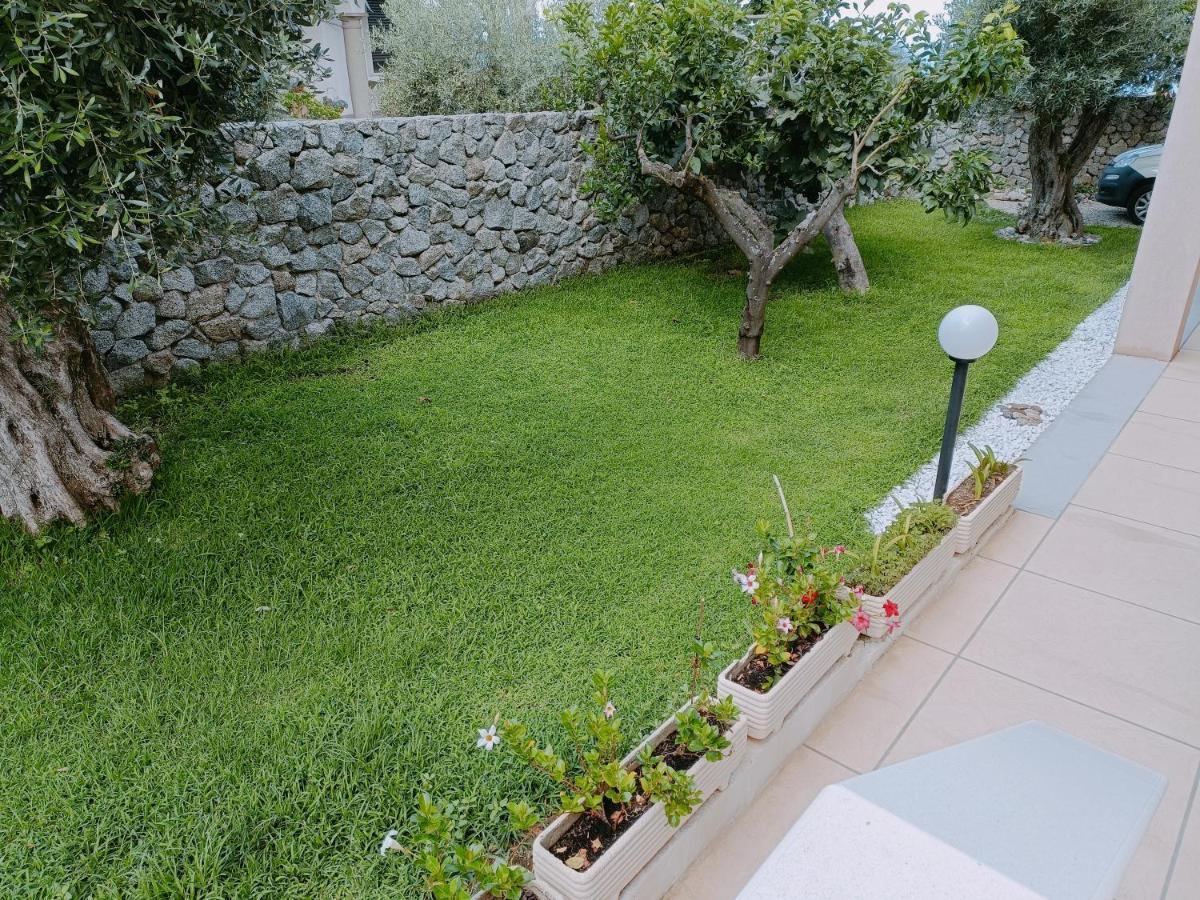 B&B Villa Orchidea Ricadi Exterior foto